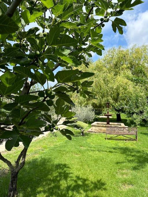 Villa Des Jacinthes Tarascon Eksteriør billede