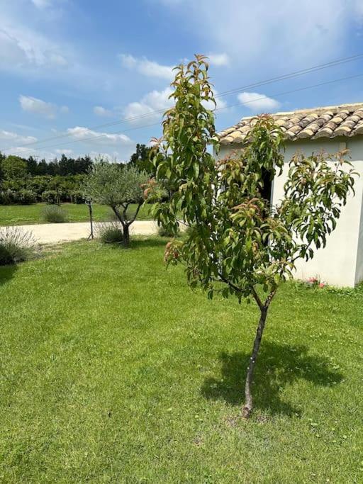 Villa Des Jacinthes Tarascon Eksteriør billede